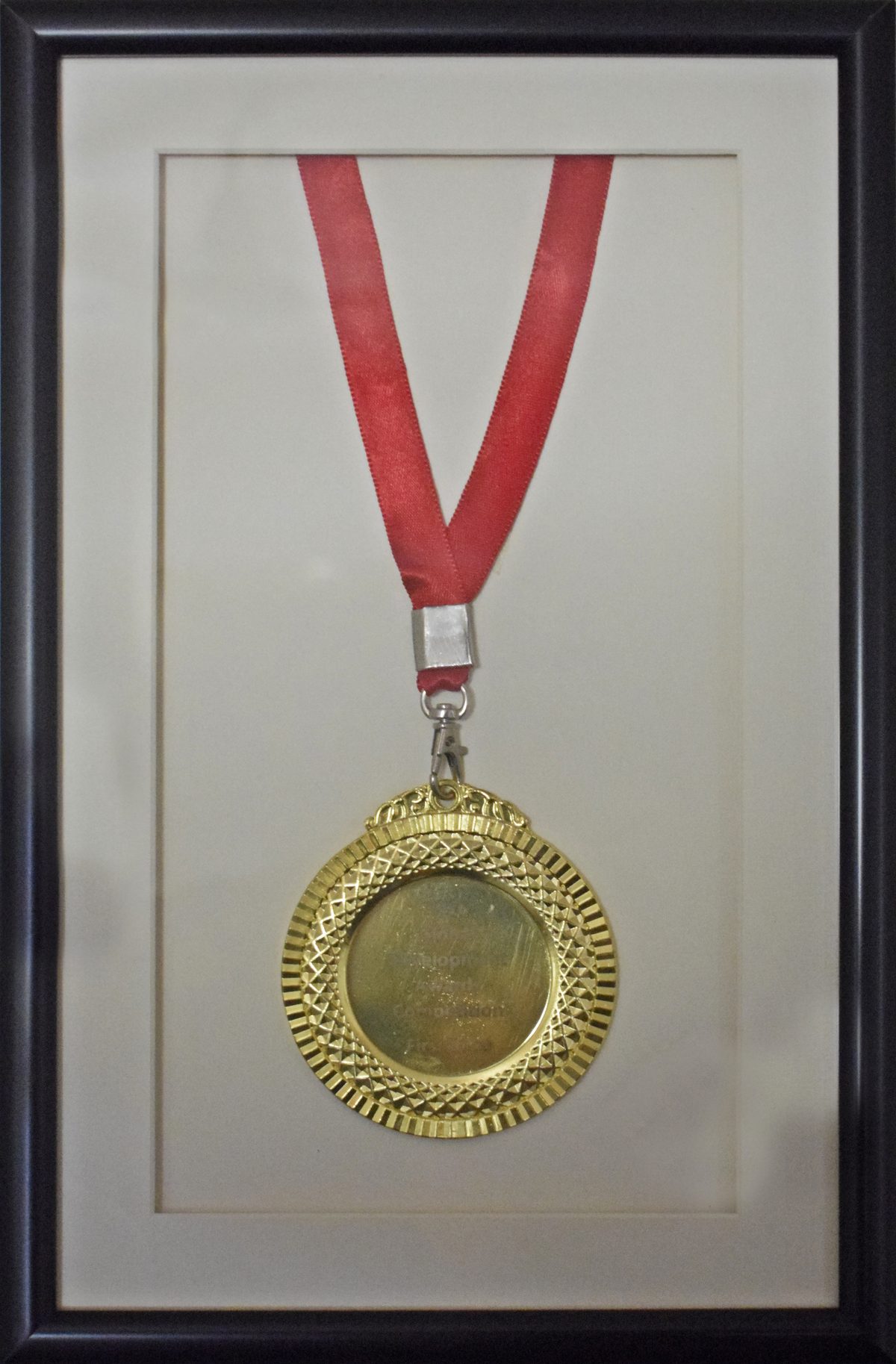 First Prize — Most Innovative Development Project